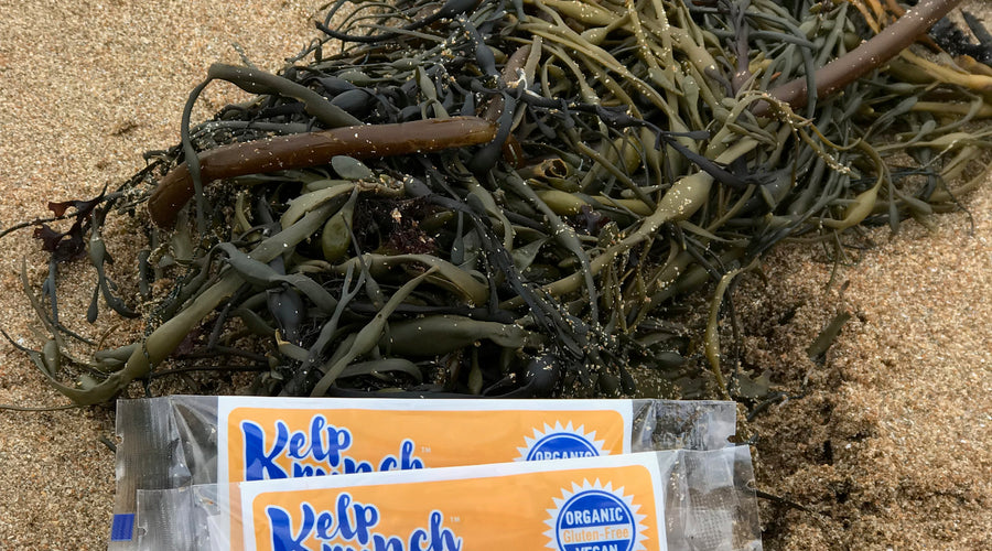 Our Local Partners: Maine Coast Sea Veg